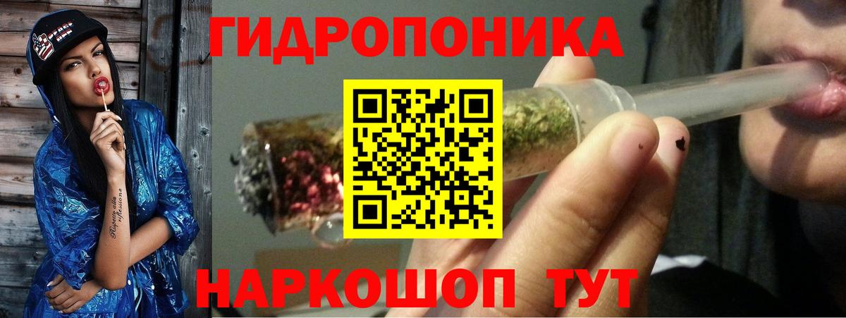 Марихуана сатива  Конопля OG Kush  Калуга  Вход с VPN 